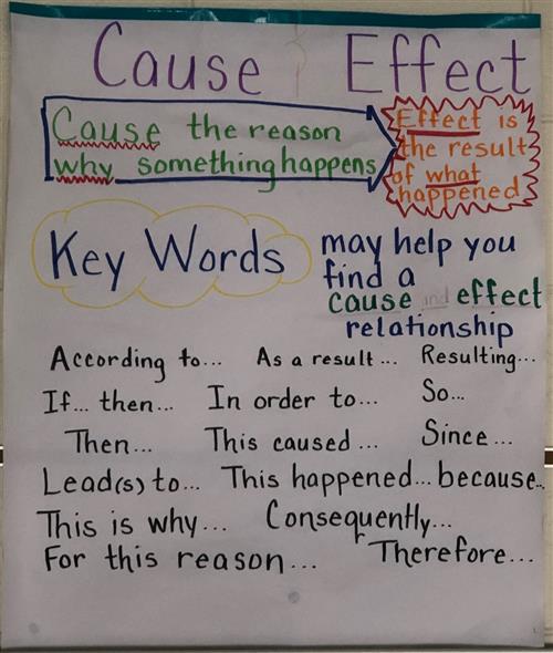 Cause and Effect 